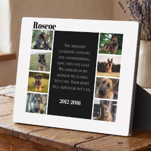 Placa Expositora Colaje de Fotos de Recuerdo de Mascota