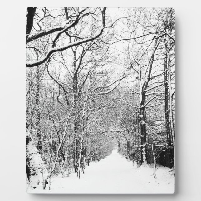 Placa Expositora Cold Winter Woodland (Frente)