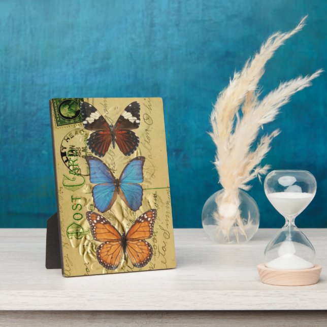 Placa Expositora Colección de mariposas (Lado)