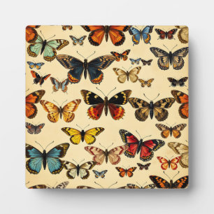 Placa Expositora Colección de Mariposas Vintage en Patrón
