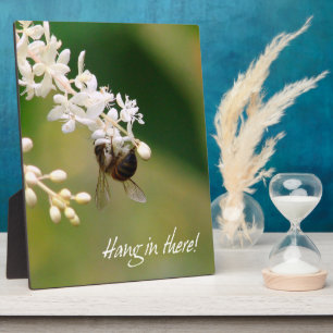 Placa Expositora "Colgar ahí" Motivacional