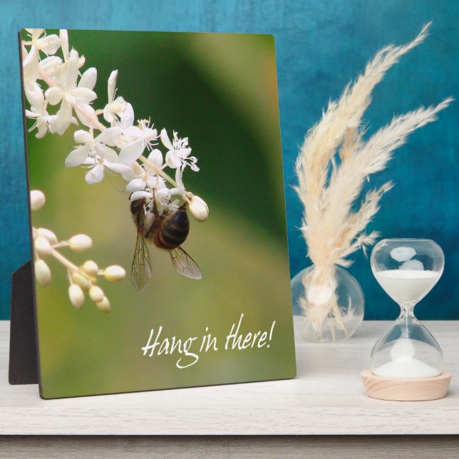 Placa Expositora "Colgar ahí" Motivacional (Lado)