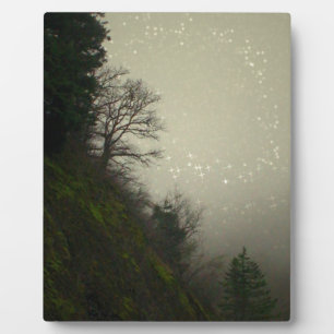 Placa Expositora Colina mágica del bosque húmedo