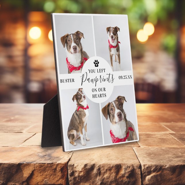 Placa Expositora Collage de 4 Fotos Modernas | Pérdida de Mascota P (Subido por el creador)