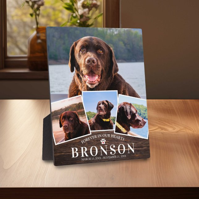 Placa Expositora Collage de 4 fotos para memorial de mascota de mad (Subido por el creador)