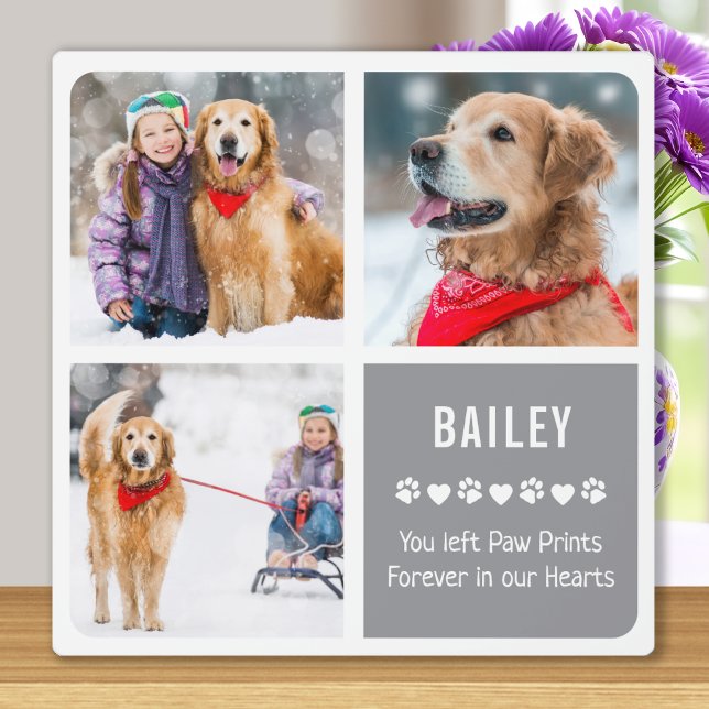 Placa Expositora Collage de fotos conmemorativo Mascota moderno (Subido por el creador)