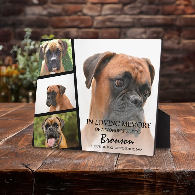 Placa Expositora Collage de fotos conmemorativo Mascota moderno (Subido por el creador)