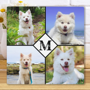 Placa Expositora Collage de Fotos de Perro Mascota Personalizado co