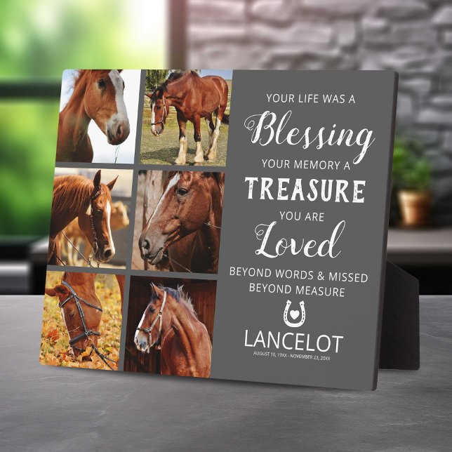 Placa Expositora Collage de fotos Memorial del Caballo (Subido por el creador)