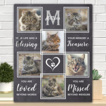 Collage de fotos único en homenaje al gato mascota