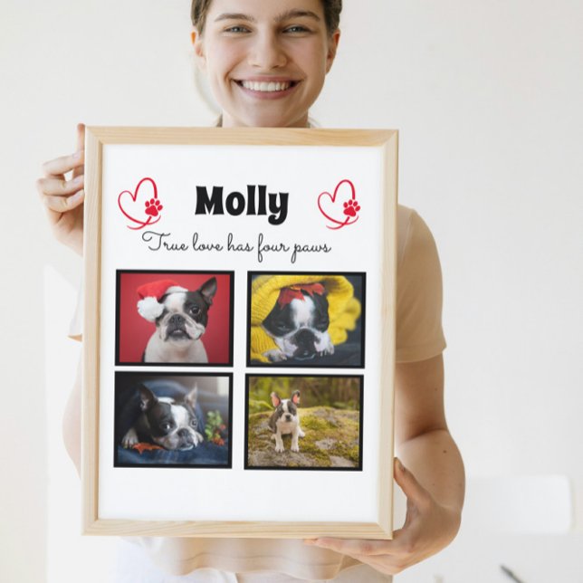Placa Expositora Collage personalizado de perro 4 fotos (Subido por el creador)