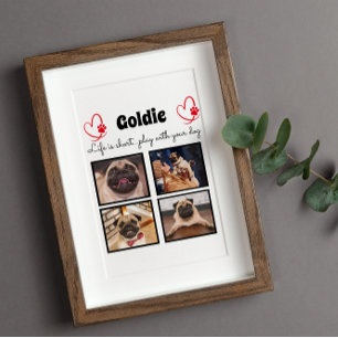 Placa Expositora Collar de perro con collage de 4 fotos - recuerdo 