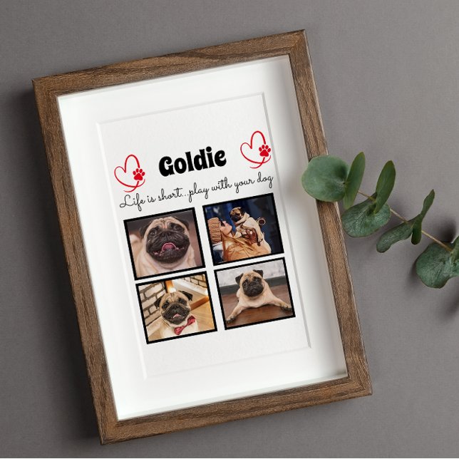 Placa Expositora Collar de perro con collage de 4 fotos - recuerdo  (Subido por el creador)