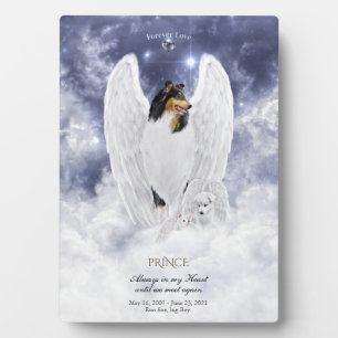 Placa Expositora Collie Tricolor Ángel en el Cielo de los Perros -