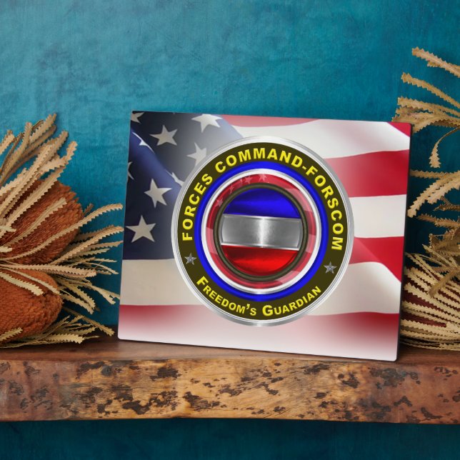 Placa Expositora Comando de Fuerzas FORSCOM (Lado)