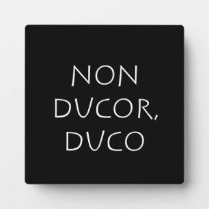 Placa Expositora Conducto sin ducto