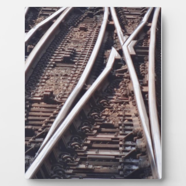 Placa Expositora Conmutadores (Frente)