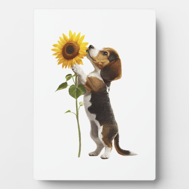 Placa Expositora Copia de Beagle (Frente)