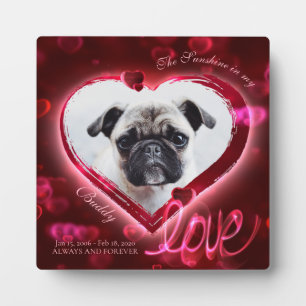 Placa Expositora Corazones y Amor de Neón Rojo, Foto de Mascota Per