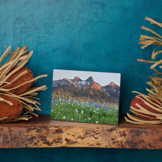 Placa Expositora Cordillera de Tatoosh y flores silvestres | Monte  (Lado)