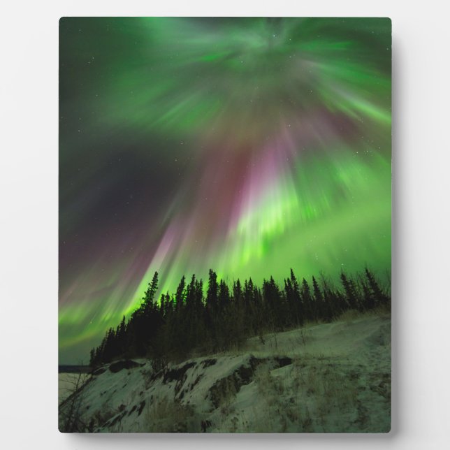 Placa Expositora Corona Aurora (Frente)