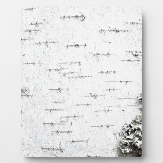 Placa Expositora Corteza de Birch (Frente)