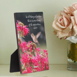 Placa Expositora Cotización filosófica de Aristóteles