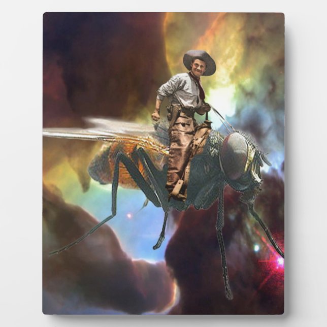 Placa Expositora Cowboy espacial (Frente)