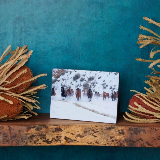 Placa Expositora Cowboy Horse Drive | Hideout Ranch Shell, Wyoming (Lado)