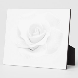 Placa Expositora Crea el tuyo propio-