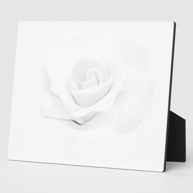 Placa Expositora Crea el tuyo propio- (Lado)