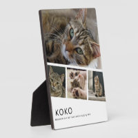 Crea tu propia foto de gato