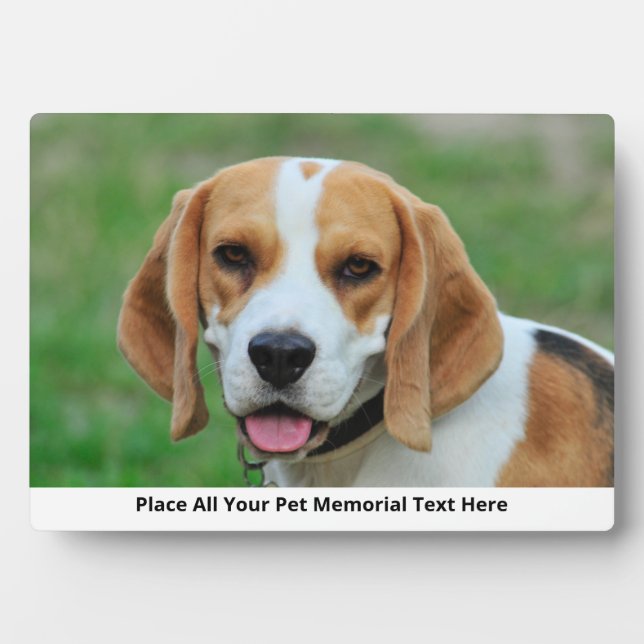 Placa Expositora Crea tu propia foto de perro Mascota (Frente)