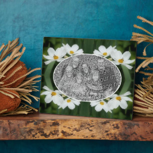 Placa Expositora Crea Tus Propias Flores De Cosmos Fotográficos Y A