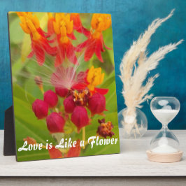 Placa Expositora Crear su propio producto de Personalizar grande de