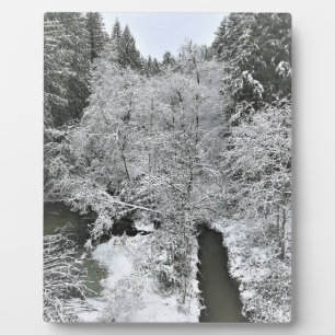 Placa Expositora Creek de Boeckman en invierno