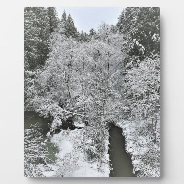 Placa Expositora Creek de Boeckman en invierno (Frente)