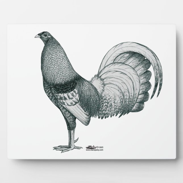 Placa Expositora Crela Gamecock o Dom (Frente)