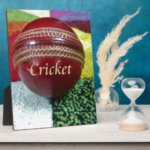 Placa Expositora Cricket El juego que nos encanta jugar, comer, dor