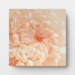 Placa Expositora Crisantemo coral