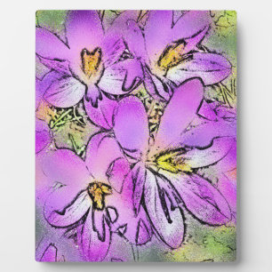 PLACA EXPOSITORA CROCUSES