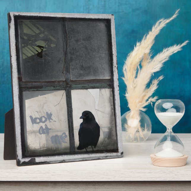 Placa Expositora Crow Fuera De La Ventana Antigua (Lado)