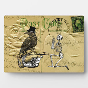 Placa Expositora Crow y skeleton