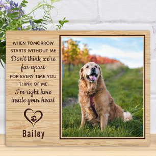 Placa Expositora Cuando Empieza El Mañana Sin Mi Mascota Memorial