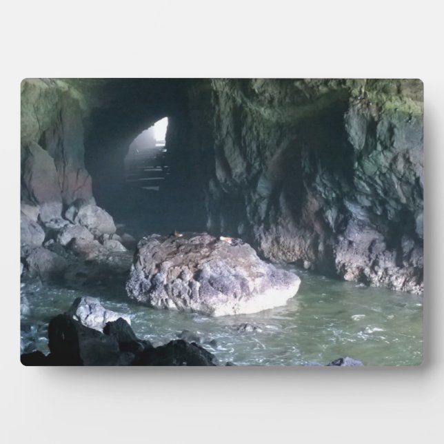 Placa Expositora Cueva de león marino, O (Frente)