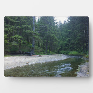 Placa Expositora Cummins Creek en el Parque Estatal Neptune, OR