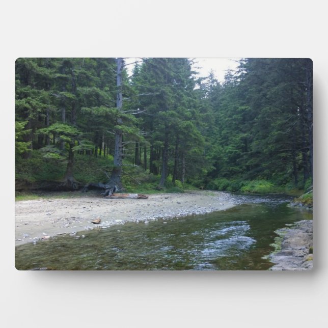 Placa Expositora Cummins Creek en el Parque Estatal Neptune, OR (Frente)