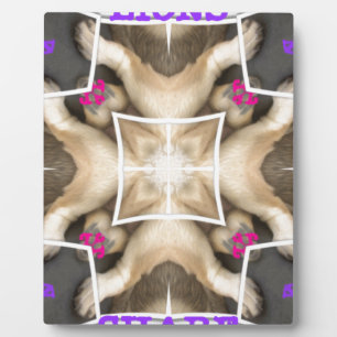 Placa Expositora Cuota de león