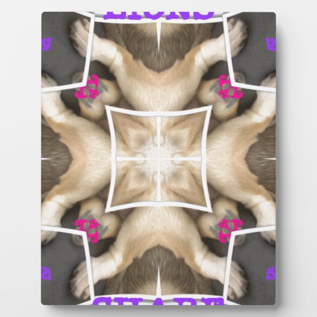 Placa Expositora Cuota de león (Frente)