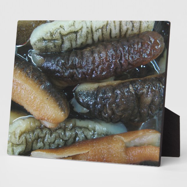 Placa Expositora Cupepino marino... Comida del mercado de Yaowarat (Lado)